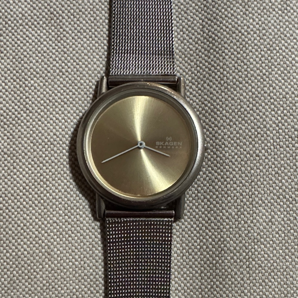 Skagen Men's Gold and Black Mesh Watch